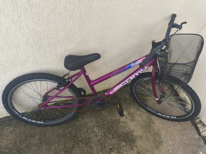 Bicicleta Roxa Family Flower-Aro 26 com cesta