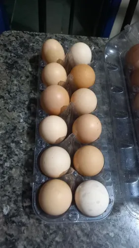 Vende-se