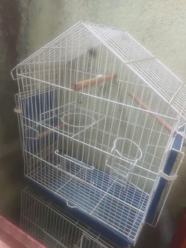 Gaiola pra passaro