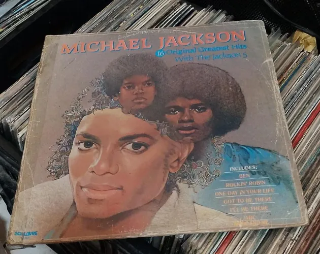 Disco de Vinil 