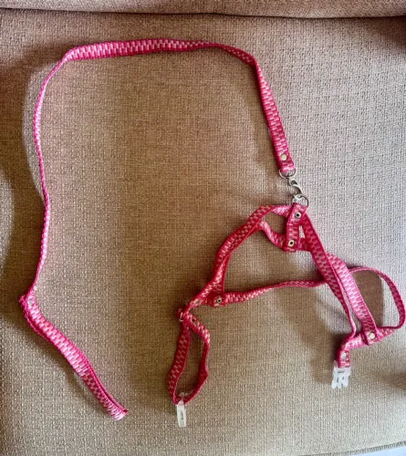Guia e Peitoral Vermelho para Pet - Ajustável
