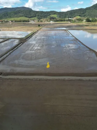 Terreno à venda no bairro Ribeirão São Paulo - Ascurra/SC
