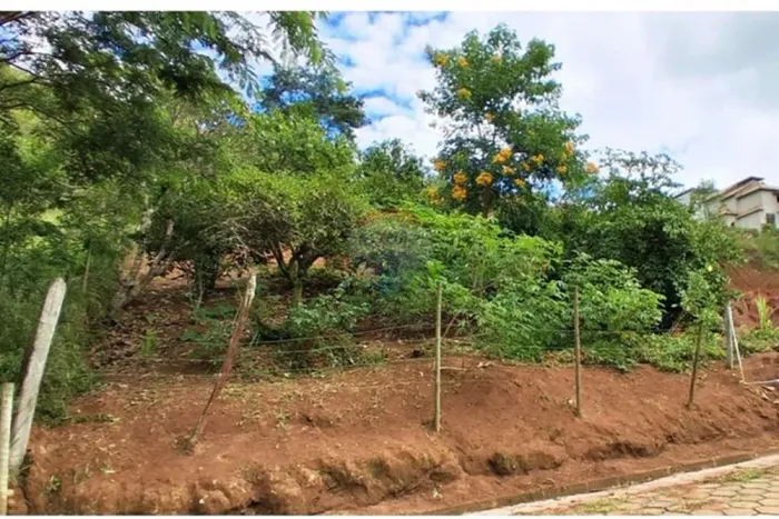 Terreno em Santa Bárbara do Monteverde