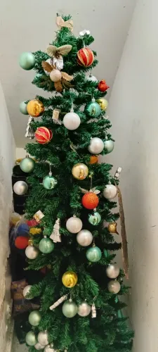 Árvore de Natal