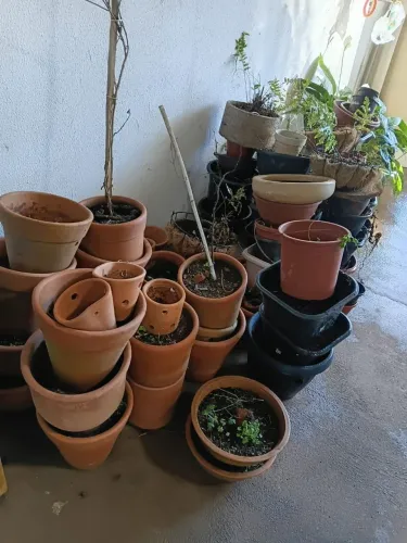 Vasos para plantas