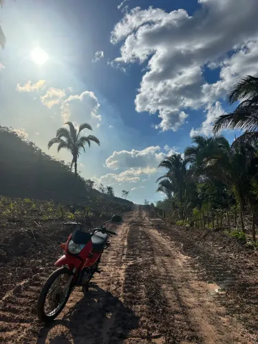 Pop 110i 2019