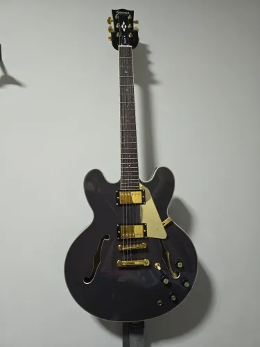 Guitarra Semi Acustica Giannini Sonic Deluxe Nova