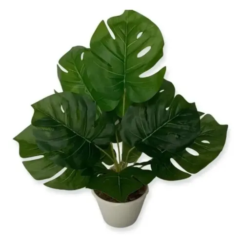 Planta artificial Costela de Adão