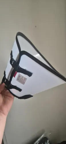 Colar elizabetano tamanho 4 NOVO
