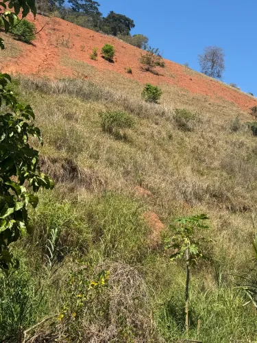 Vendo sítio /Corrego do Alegre Inhapim