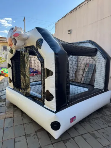 Piscina de bolinha inflável vaquinha exclusiva atendemos todo DF FENIX INFLAVEIS