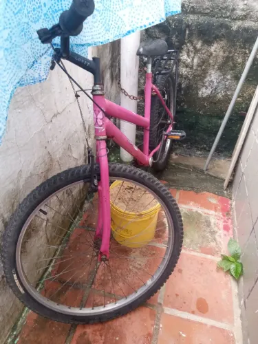 Vendo pula pula e uma bicicleta
