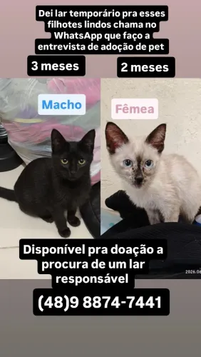 Doação