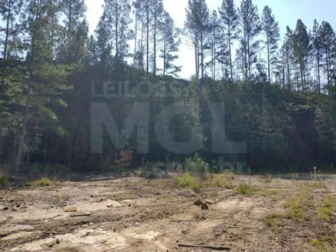 MAFRA/SC - Terreno Rural com 107.690 m² na localidade Rio Branco