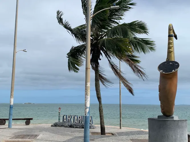 Kitinete perto praia tartaruga
