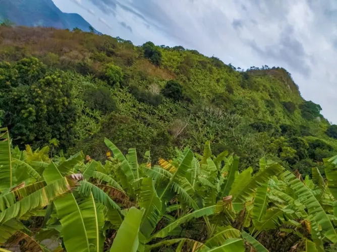 Terreno à venda, 180000 m² por R$ 400.000,00 - Centro - Uruburetama/CE