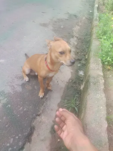 A doação