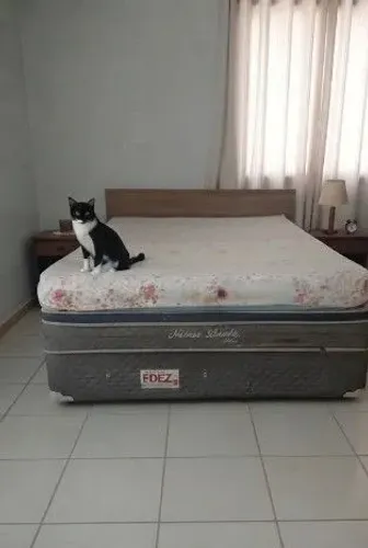 Cama box casal conservada com colchão