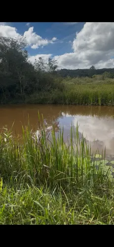 Chácara com Lagoa