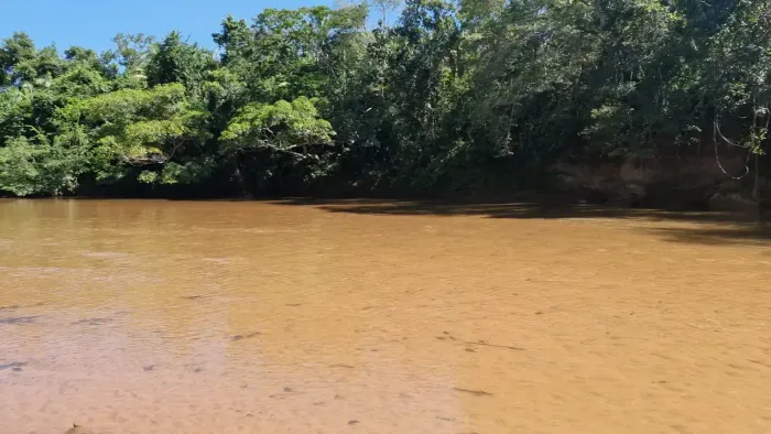 Fazenda à Venda em Ribeirãozinho MT | 400 Alqueires | Área de Lavoura |