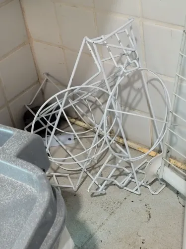 Porta boné
