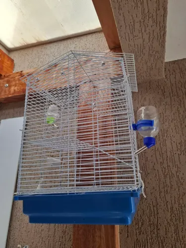 Gaiola para hamster