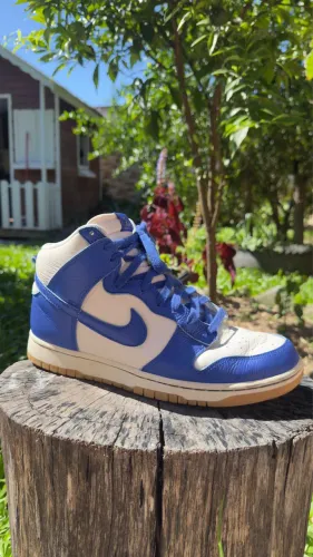 tenis nike dunk retro SE 40