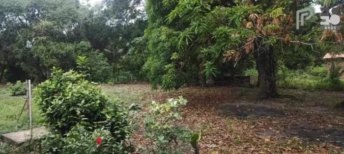 Venda de Terreno: Ideal para Seu Projeto dos Sonhos