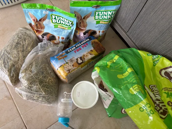 Doação de itens para chinchila ou hamster