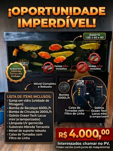 Aquário 600 litros 1.60 x 0.60 x 0.60