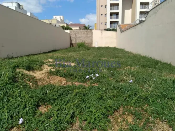 TERRENO COM 270M², À VENDA OU ALUGUEL NO JARDIM CALIFÓRNIA - RIBEIRÃO PRETO, SP