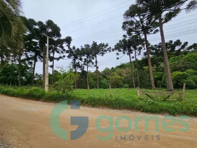 Terreno/Área à venda com 9767m² no Colônia Antônio Prado