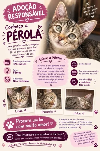 Adoção responsável dessa gatinha! 