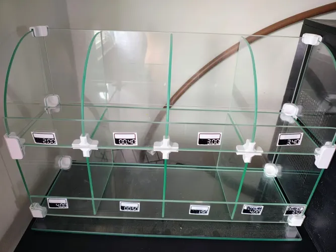 Expositores de balas e chicletes 