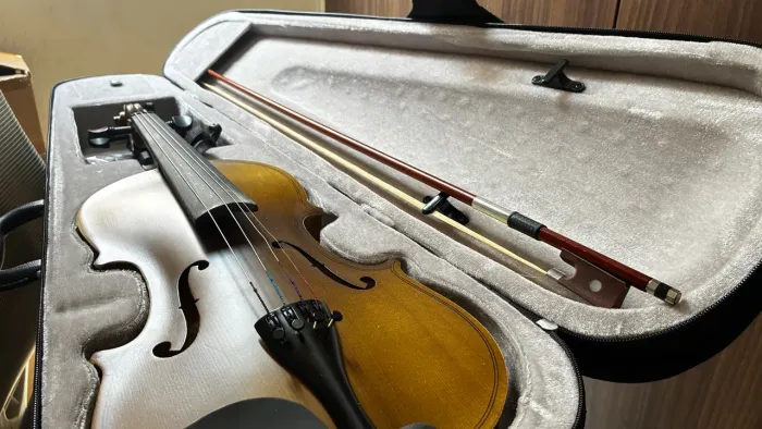 Violino Vogga 4/4(Novo)