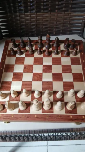 Xadrez Profissional
