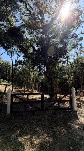 Chácaras a venda em Tijucas do Sul 