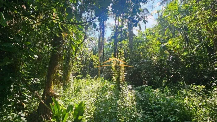 Terreno à venda, 39.920 m² por R$ 199.000 a apenas 3kn do Centro Histórico do município -