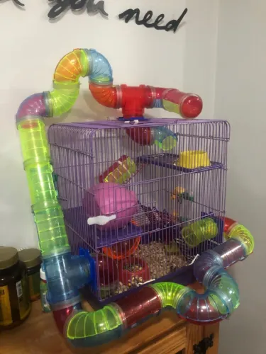 Gaiola hamster