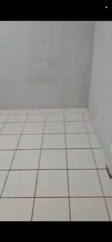 Procuro menina(o) para divertir kitnet 