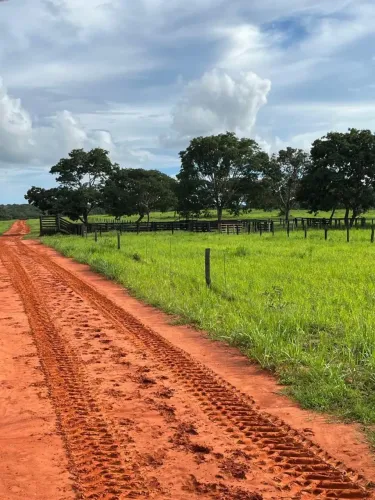 FAZENDA À VENDA EM GENERAL CARNEIRO MT | 1.234 HECTARES