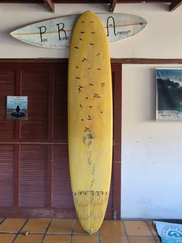 Prancha de Surf Longboard 9'6