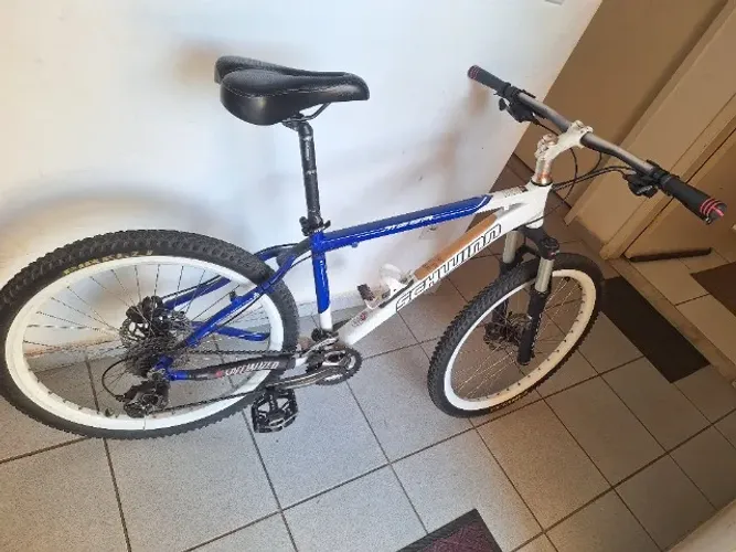 Bicicleta