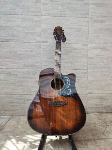 violão Waldman opus +bag