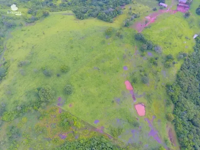 308,5 alqueires Fazenda em Espigão Alto Do Iguaçu Apenas 94 mil p Alqueires