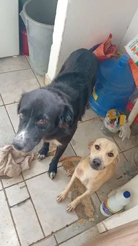 Doação responsável 