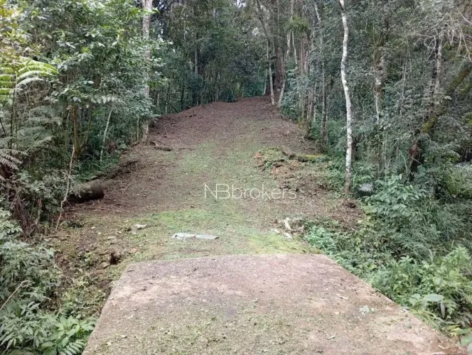 REFÚGIO NATURAL EM CAMPO MAGRO | ÁREA RURAL COM ÁGUA E NATUREZA PRESERVADA
