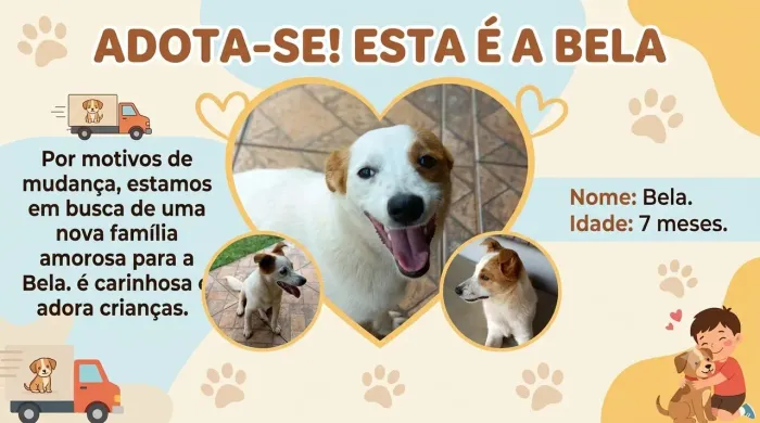 Adoção Responsável: Bela, Filhote 7 Meses, Muito Carinhosa e Dócil