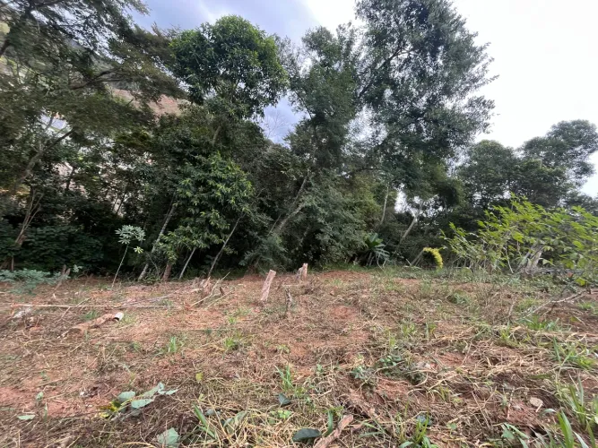 Vendo lote bairro Filgueiras/ Jf 
