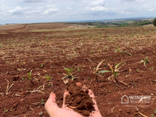 Fazenda com 1 dormitório à venda, 8064000 m² por R$ 110.000.000,00 - Vila Sao Luiz - Nova